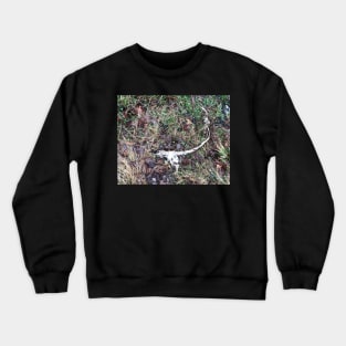 Animal Skeleton Crewneck Sweatshirt